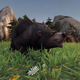 Illustration for article titled Old World Of Warcraft Glitch Created A Terrifying Instant Death Bear